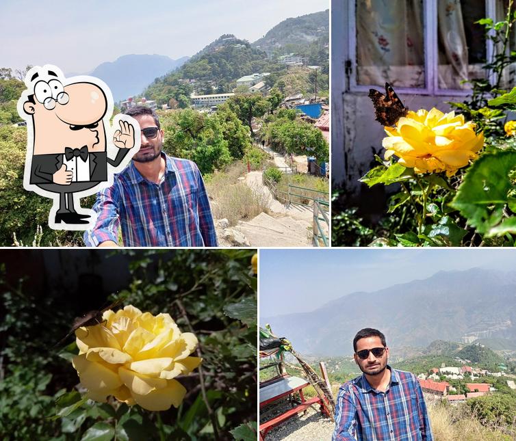 See the picture of Ganga Dhaba, LBSNAA Musoorie