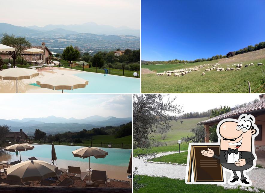 Agriturismo Il Colle del Sole