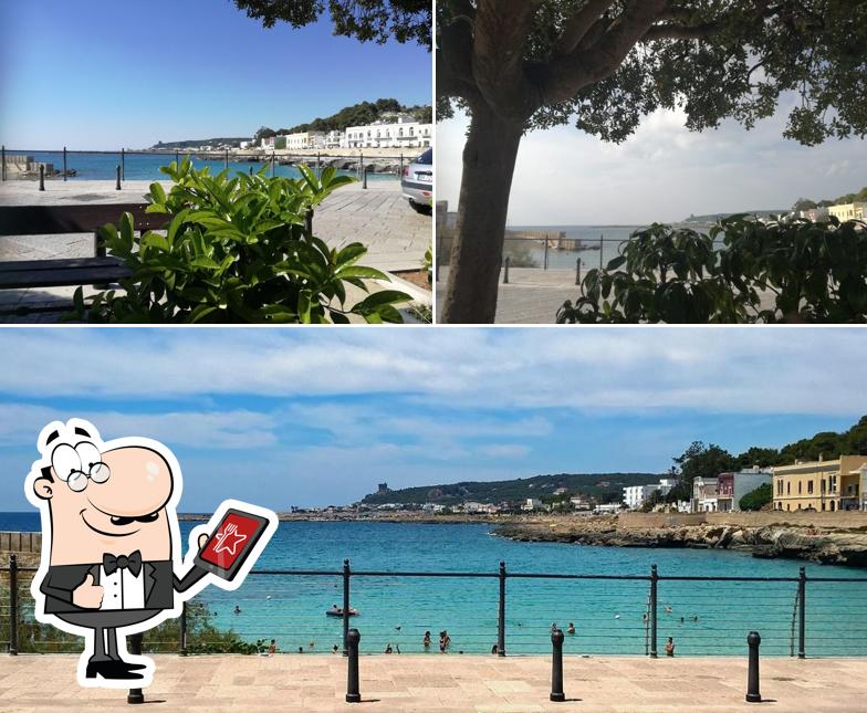 Guarda gli esterni di Il Pergolino