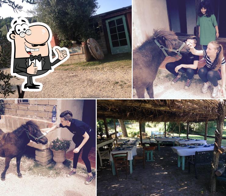 Ecco un'immagine di Azienda Agrituristica Zucchegni