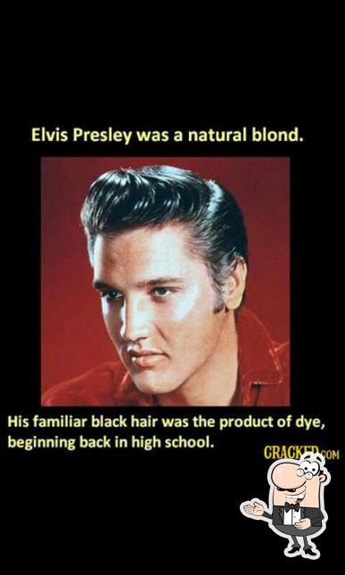 Cafe 9 Feet Under photo