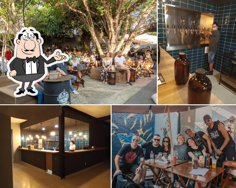 Bamberg Express Sorocaba