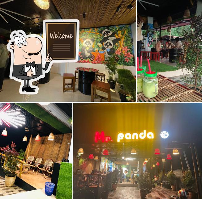 Mr. Panda