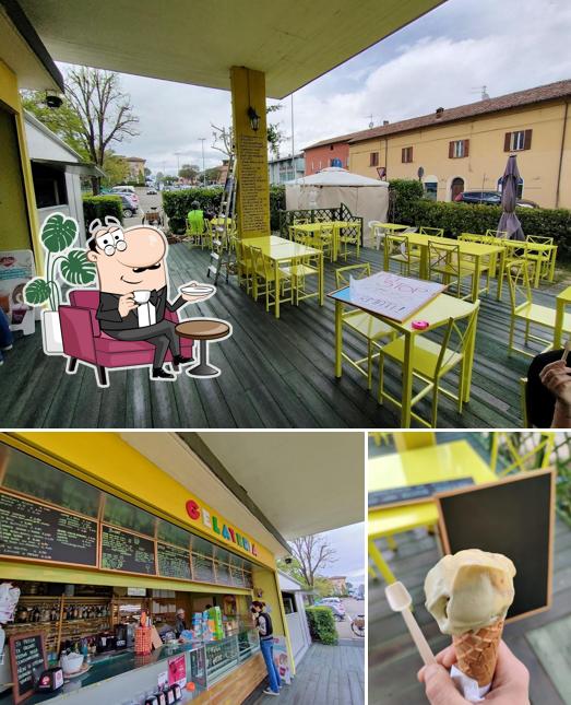 La duna nel Bosco