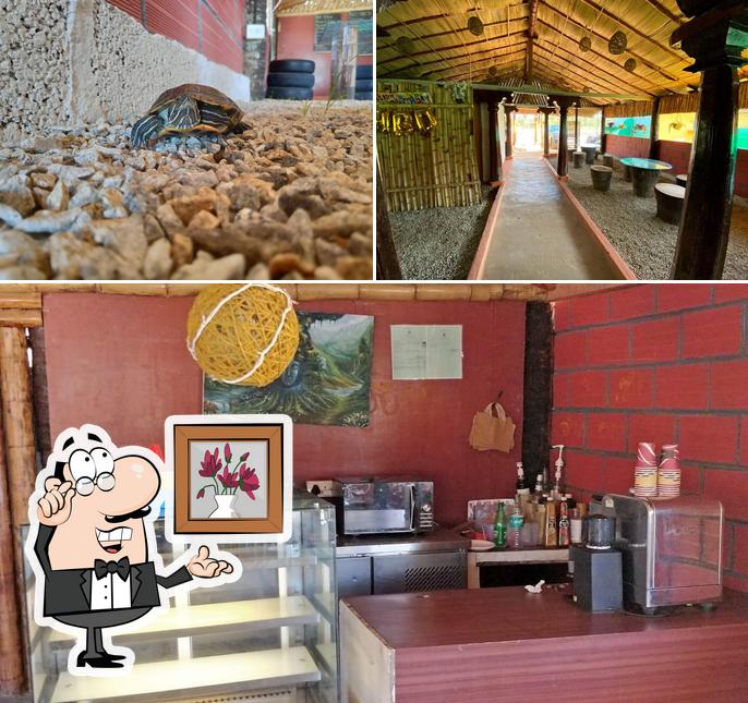The restaurant's interior and seafood