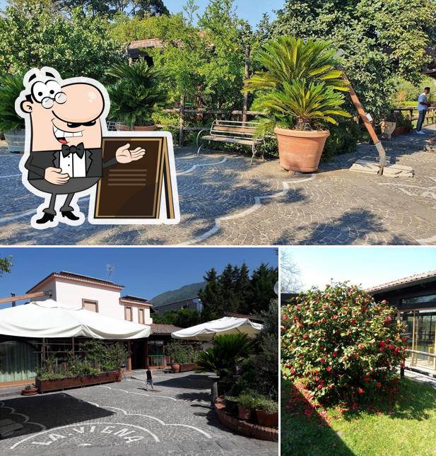 Gli esterni di Agriturismo La Vigna