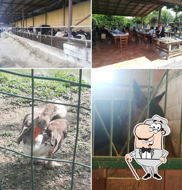 Ristorante @ Bosco Gerolo Valtrebbia