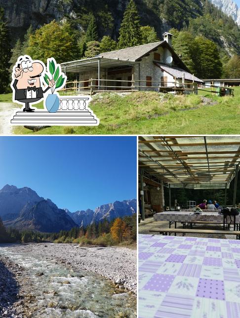 Guarda gli esterni di Malga Pian Pagnon