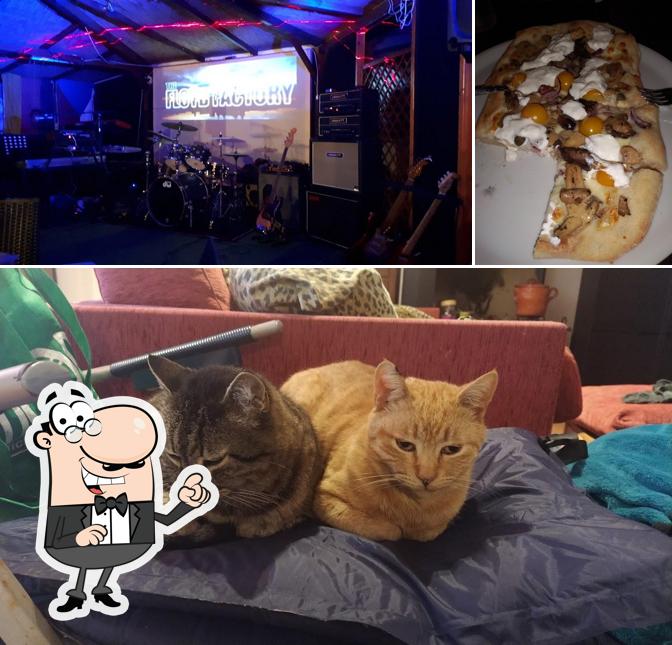 Guarda la immagine che presenta la interni e cibo di CLOVER CLUB GREEN PARK CLUB (BISTECCHERIA-PUB)