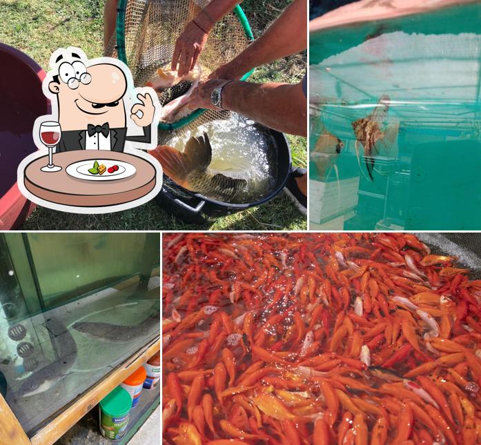 Platti al Azienda Agricola Riccò