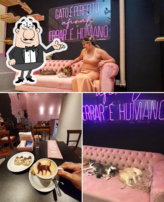 Veja imagens do interior do Gato Café Barra