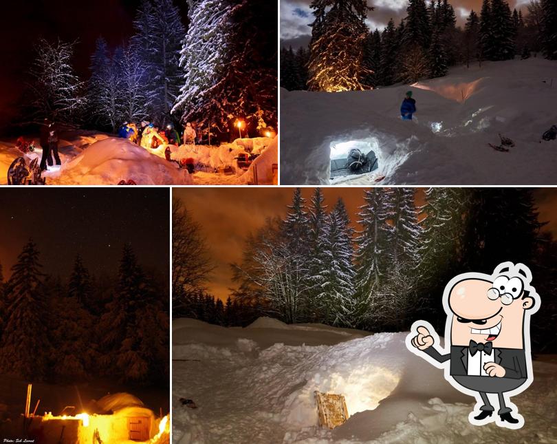 Rando Igloo