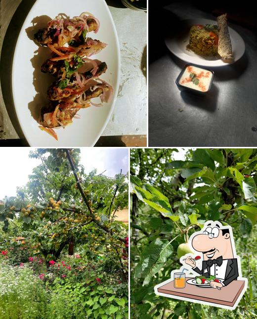 Destination of Peace manali