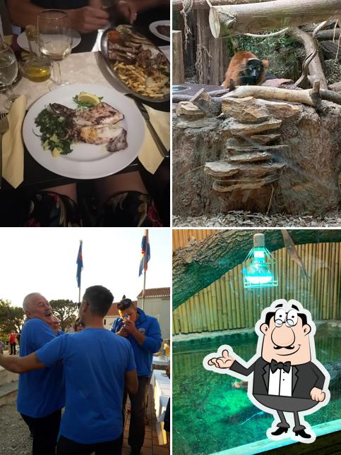 Dai un'occhiata agli interni di Konoba Veliko Brdo