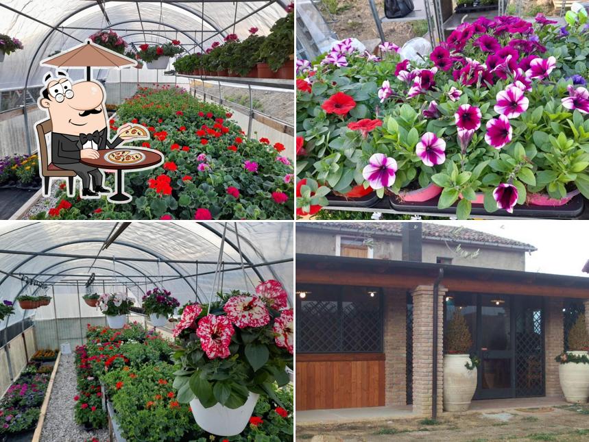 Agriturismo L'Ottavo nano