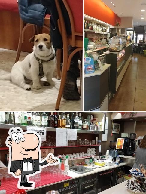 Gli interni di Bar anna