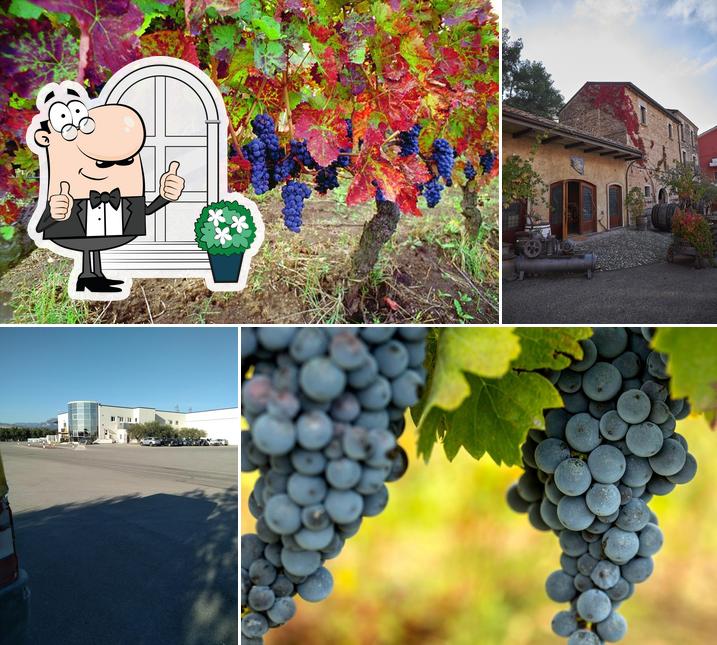 Gli esterni di Casa Vinicola Armando Martino - I vini del Vulture