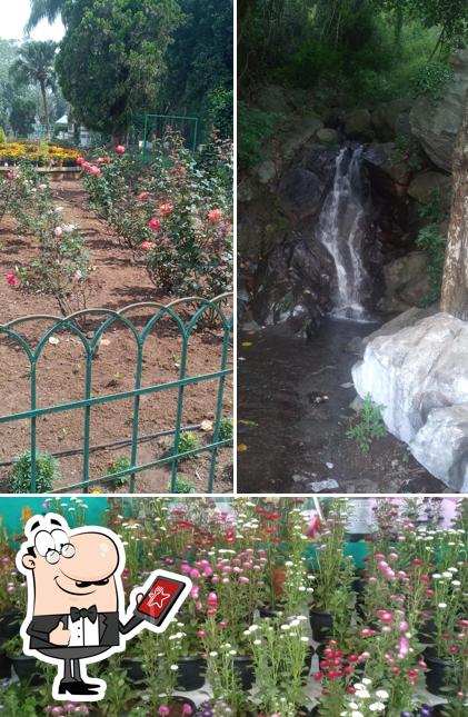 Vasanthi Saraal Unavagam