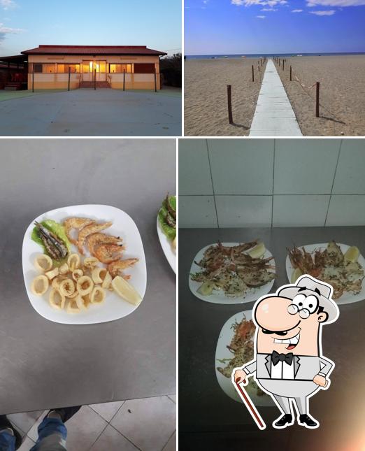 La foto di esterno e interni da La Conchiglia