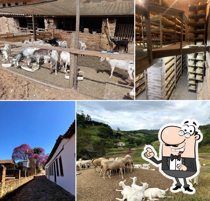 Fazenda Atalaia