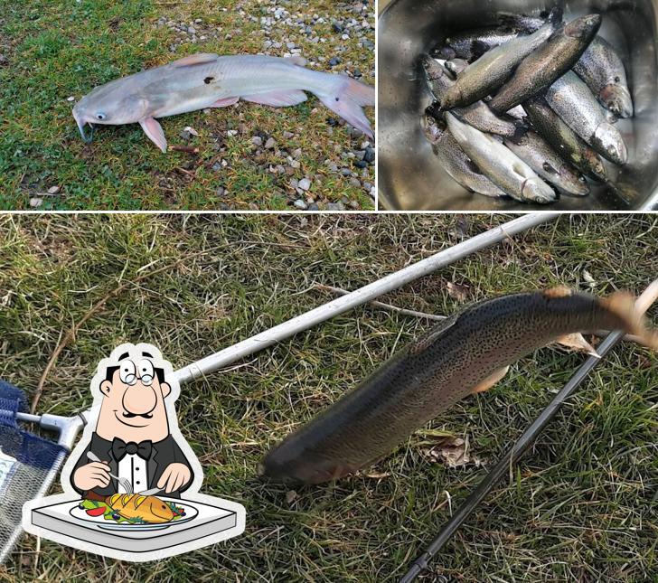 Prova un pasto a base di pesce a Lago Ponte Alto (Pesca Sportiva)