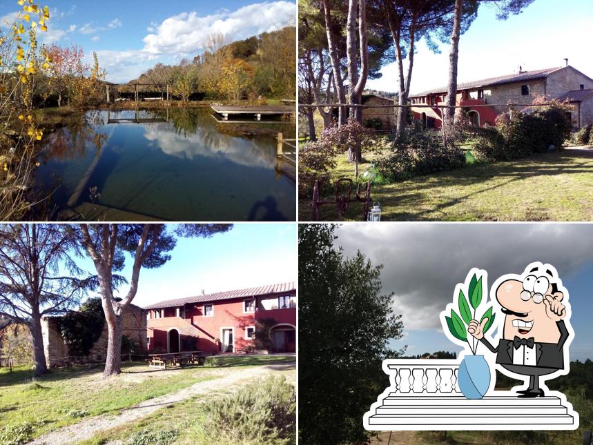 Agriturismo Il Meletto