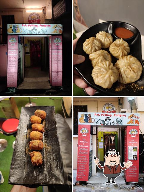 Food at Furry Tales Cafe