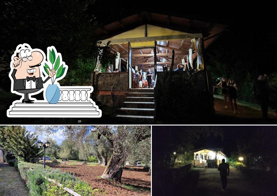 Puoi goderti l'aria fresca da seduto all'esterno di Azienda Agrituristica "Palazzone"