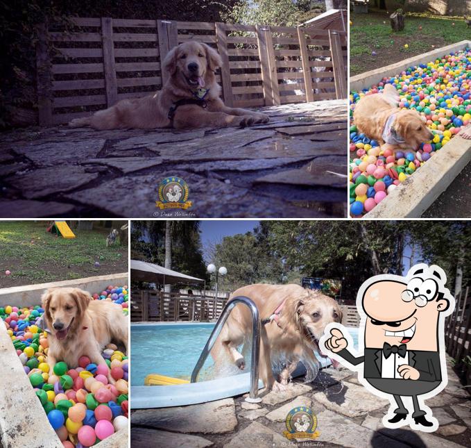 O exterior do Boteco Pet