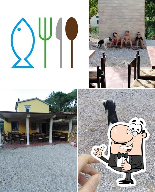 Il Chipi' Alla Sorgente Del Gusto