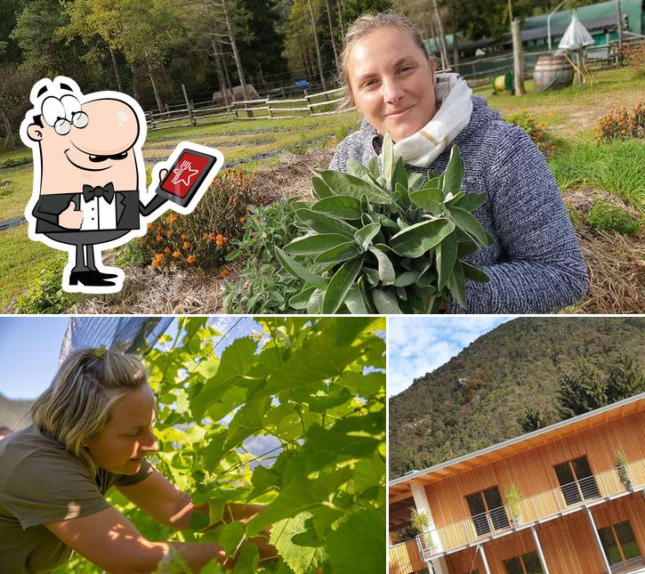 Gli esterni di Agriturismo Bosc del Meneghì