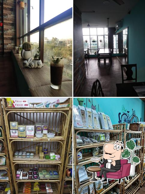 The interior of Plantarium-Plant based store and cafe