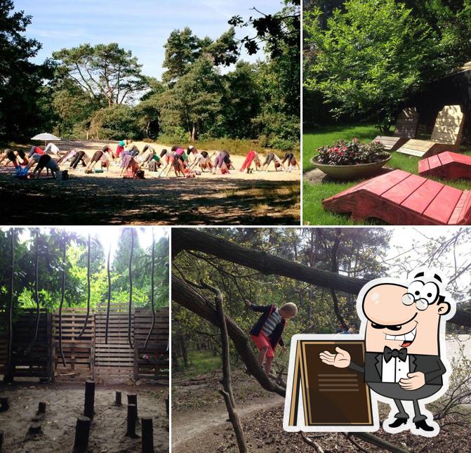 Profitez de la vue extérieure de Bosbar Kalmthoutse Heide