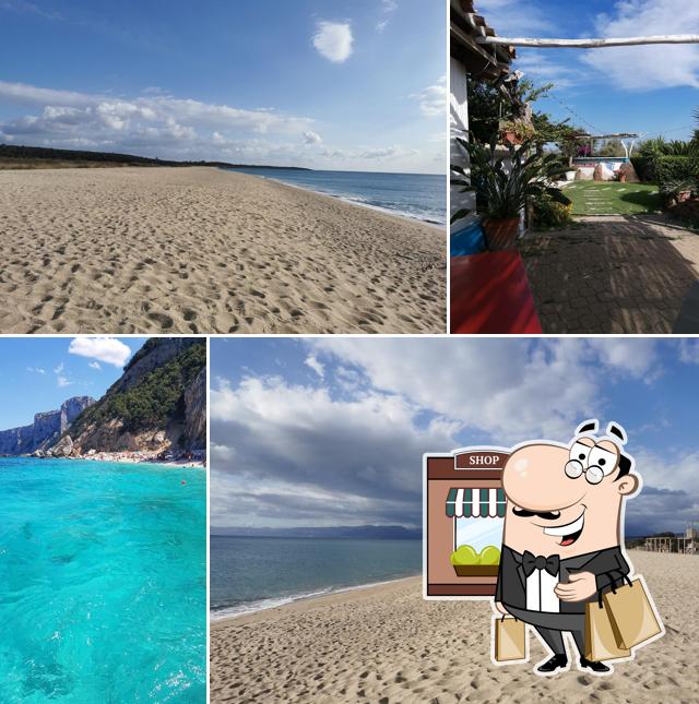 Gli esterni di Gasoline