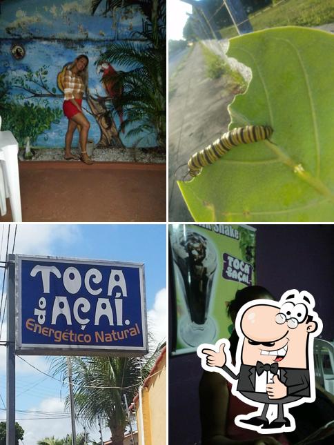 Toca do Açaí