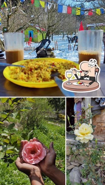 Food at Guru cafe
