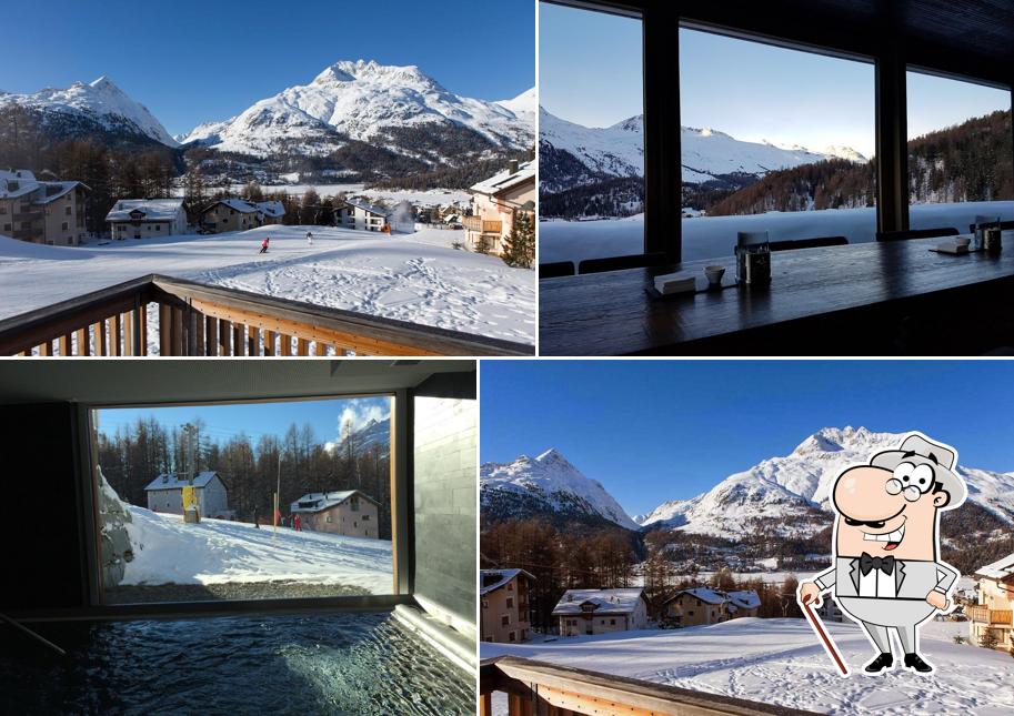 Curiosa tra gli esterni di Nira Alpina