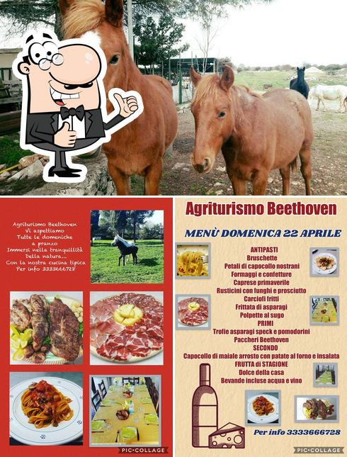 Guarda la immagine di Agriturismo Beethoven