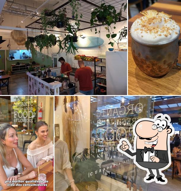 O interior do Botânico Colheita Criativa