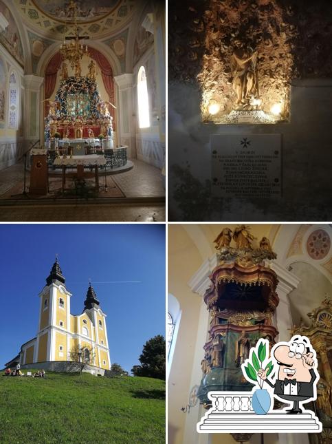 Vita Activus proizvodnja, trgovina in svetovanje, d.o.o.