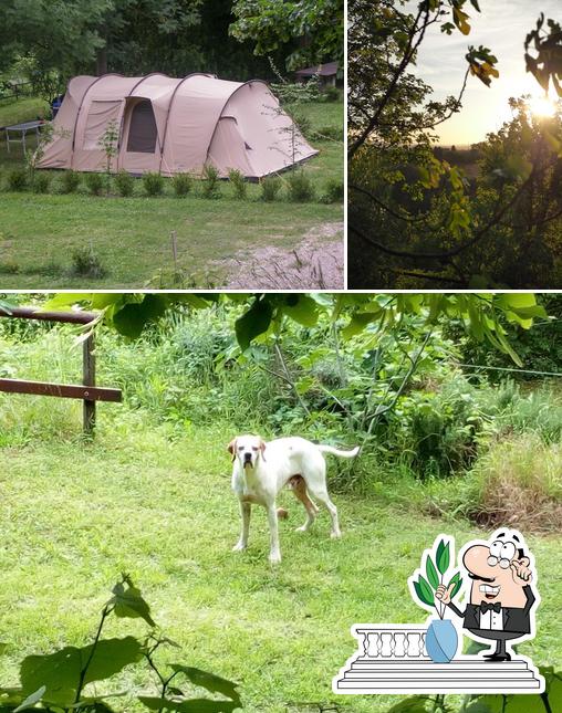 Guarda gli esterni di Agriturismo Agricampeggio La Stadera