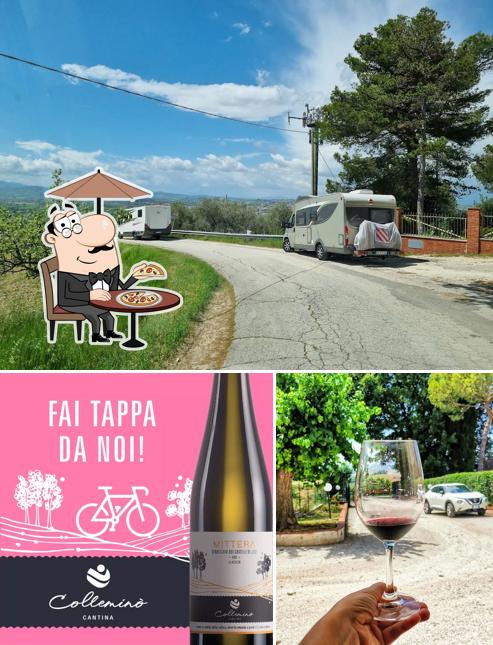 Gli esterni di Cantina Colleminò - Vini - Verdicchio Mittera