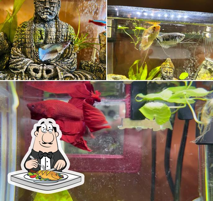 Bar Tabacchi Fortuna - rivenditore IQOS ILUMA Glo Pulze Relx Elfbar Lost mary Veev Myblu Vuse VOOM offre un menu per gli amanti del pesce