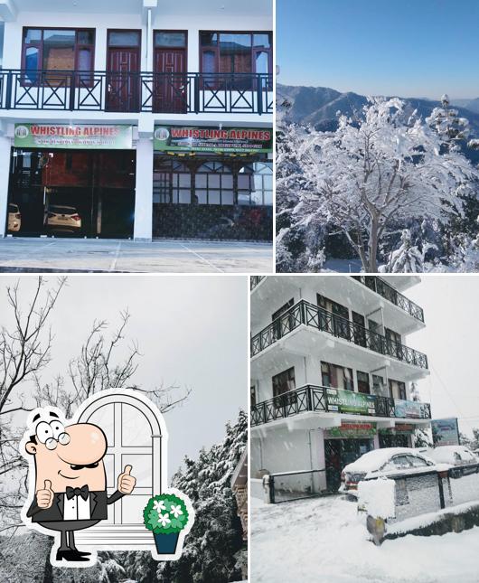 Hotel Whistling Alpines Shimla - Budget friendly-best room price in shimla
