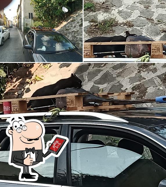 Ecco un'immagine di Pizzeria Asso Di Coppe