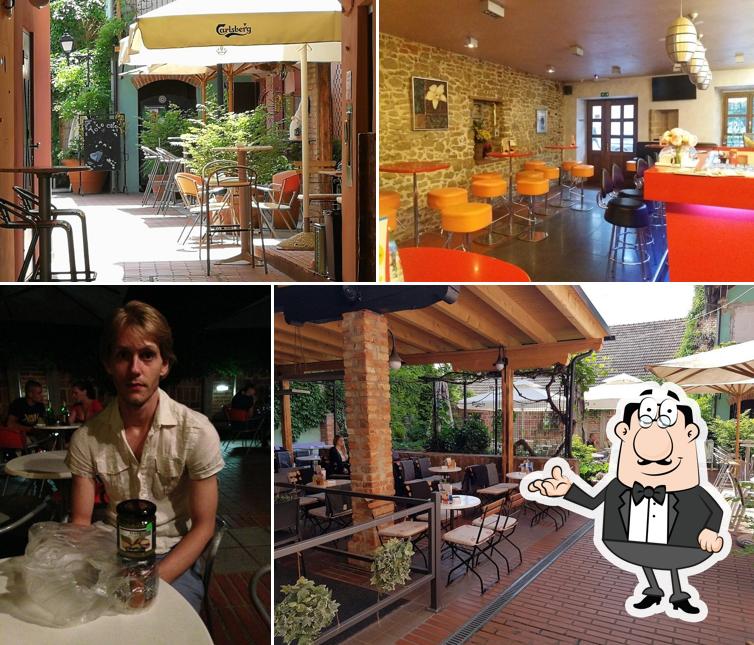 Gli interni di Toto Cafe bar, Mojca Furman s.p
