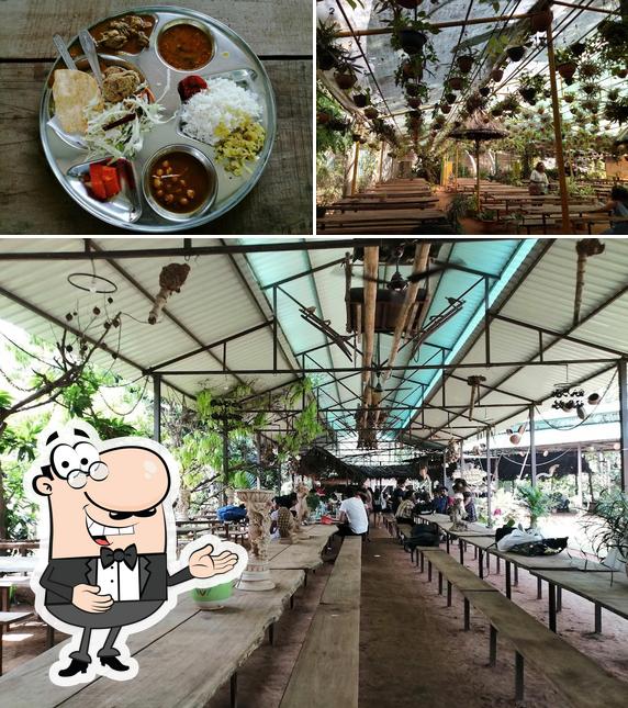 Jungle book cafe