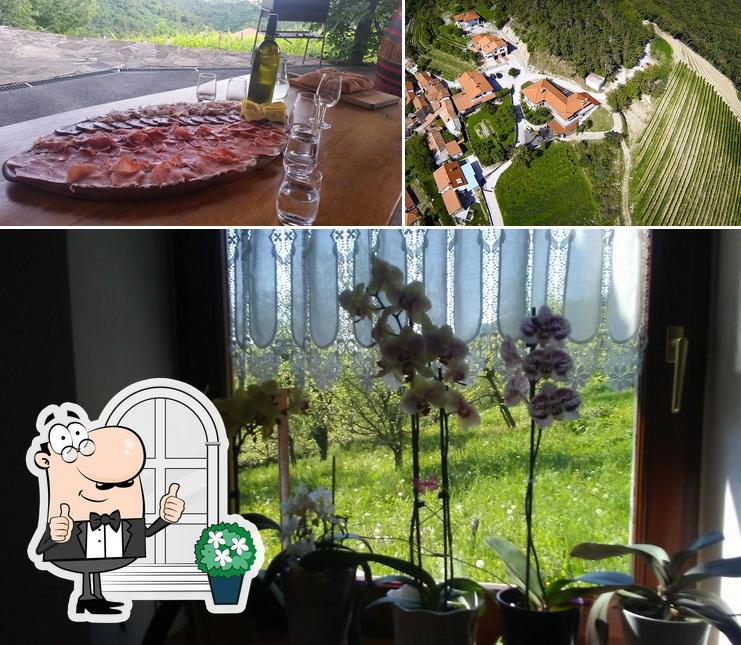Domačija Bizjak