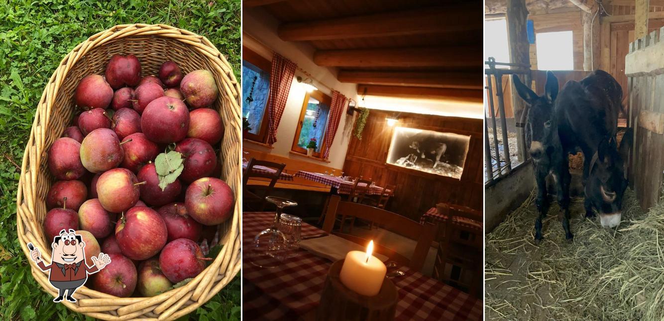 Cibo al Agriturismo Alle Baite