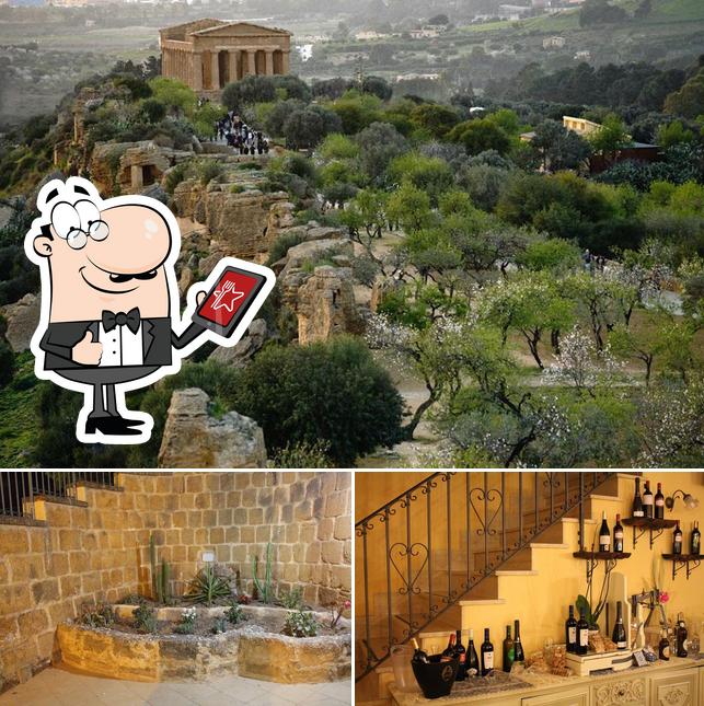 Tra le diverse cose da Il Rustichello si possono trovare la esterno e bevanda